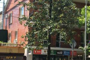 Изображение отеля / гостиницы "Частное домовладение «У Дарьи»"