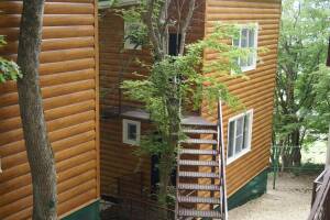 Изображение отеля / гостиницы "База отдыха"