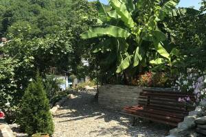 Изображение гостиницы "Гостевой дом «Оазис»"