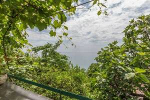 Изображение отеля / гостиницы "Гостевой дом «Рай у моря»"