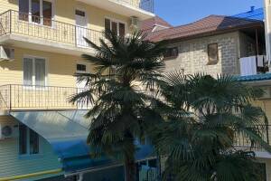 Изображение гостиницы "Гостевой дом «Санар»"