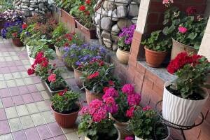 Изображение отеля / гостиницы "Гостевой дом на Тихорецкой"