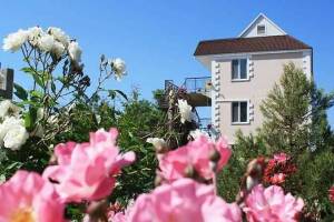 Изображение гостиницы "Усадьба «Лукоморье»"