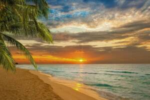 Изображение квартиры / апартамента "Квартира-студия"