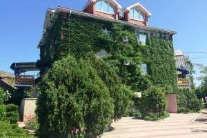 Изображение гостиницы "Гостевой дом «Елки»"