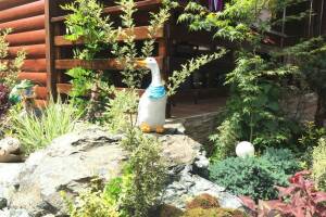 Изображение отеля / гостиницы "Эко-отель «Затерянный рай»"