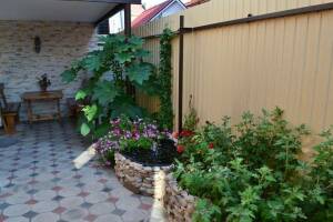 Изображение отеля / гостиницы "Гостевой дом «Вера»"