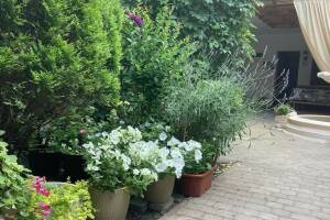 Изображение гостиницы "Гостевой дом «Гранат»"