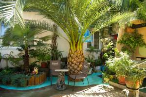 Изображение гостиницы "Гостевой дом «TipTop»"