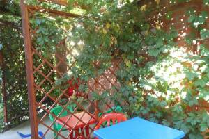 Изображение отеля / гостиницы "Гостевой дом «Зеленый дворик»"