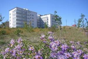 Изображение отеля / гостиницы "Апартаменты для отдыха"