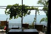 Изображение отеля / гостиницы "Гостевой дом «У Карины»"