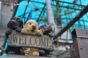 Изображение отеля / гостиницы "Гостиница «Нина»"