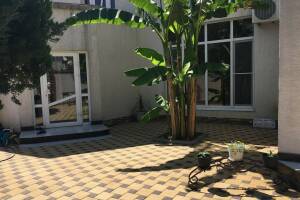 Изображение отеля / гостиницы "Гостевой дом «Зелёный рай»"