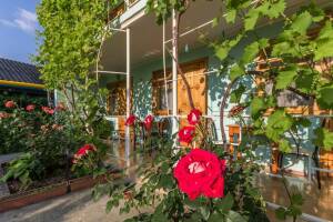 Изображение гостиницы "Гостевой дом «Ефимия»"