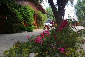 Изображение квартиры / апартамента "Дом под ключ «Лазурный берег»"