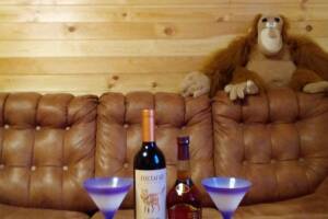 Изображение квартиры "Коттедж «Морской Бриз»"