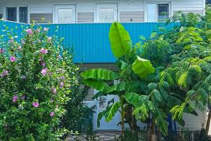 Изображение гостиницы "Гостевой дом «Пиламида»"