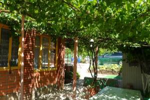 Изображение отеля / гостиницы "Гостевой дом «Семейный отдых»"