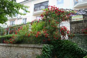 Изображение отеля / гостиницы "Гостевой дом «Стиль-комфорт»"