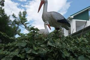 Изображение квартиры / апартамента "Апартаменты под ключ «Анна»"