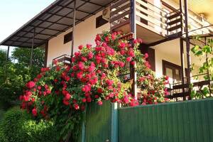 Изображение отеля / гостиницы "Гостевой дом «На Береговой 18»"