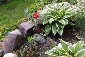 Изображение отеля / гостиницы "Гостевой дом «Алые паруса»"