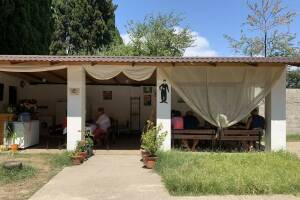 Изображение отеля / гостиницы "Гостевой дом «Пицунда»"