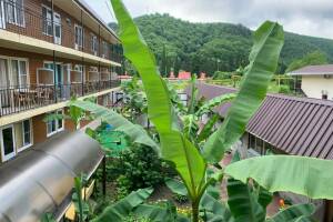 Изображение отеля / гостиницы "Гостевой дом «Альтаир»"