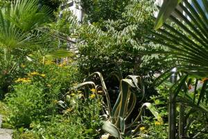 Изображение отеля / гостиницы "Частный дом «Анастасия»"