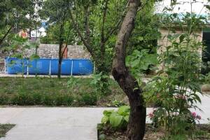 Изображение отеля / гостиницы "Гостевой дом «Семейный дворик»"