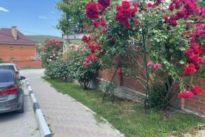 Изображение гостиницы "Гостевой дом «На северной»"