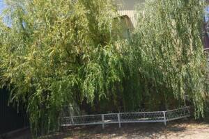 Изображение квартиры "Дом под ключ «У Ивы»"