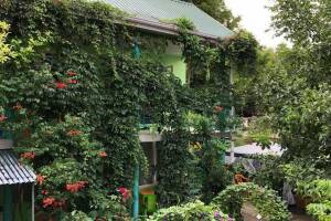 Изображение отеля / гостиницы "Гостевой дом «Эдельвейс»"