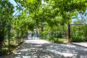 Изображение отеля / гостиницы "Гостевой дом «Зеленый дворик»"