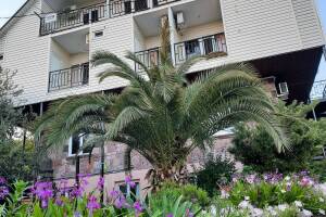 Изображение отеля / гостиницы "Гостевой дом «Флора»"