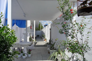 Изображение гостиницы "Гостевой дом «Росинка»"