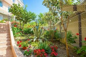 Изображение отеля / гостиницы "Гостевой дом «Бриз Лоо»"