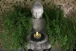 Изображение отеля / гостиницы "Частный дом «Тенистый дворик»"