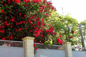 Изображение отеля / гостиницы "Гостевой дом «София»"