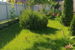 Изображение гостиницы "Гостевой дом «У Татьяны»"