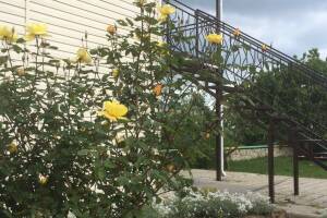 Изображение гостиницы "Гостевой дом «Афая»"