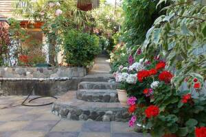 Изображение квартиры / апартамента "Коттедж под ключ «Ольга»"