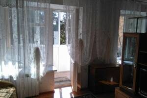 Изображение квартиры / апартамента "Однокомнатная квартира до 4-х человек"