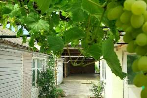 Изображение отеля / гостиницы "Гостевой дом «Азовские вечера»"