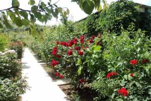 Изображение отеля / гостиницы "Гостевой дом «Уют»"