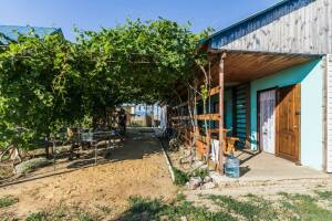 Изображение гостиницы "Гостевой дом «Домик на Виноградной»"