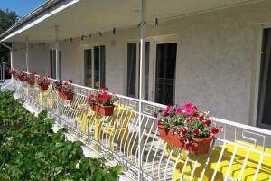 Изображение гостиницы "Гостевой дом на Калинина 15"