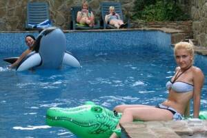 Изображение отеля / гостиницы "Гостевой дом «Navigator»"