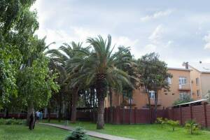 Изображение отеля / гостиницы "Гостевой дом «Мали»"